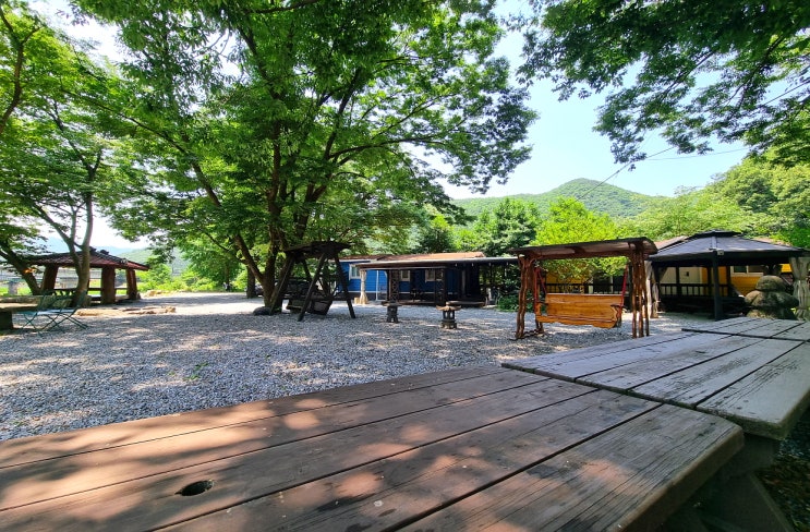  경북가족모임펜션, 자연 속 힐링! 문경 강가포근한집 – 경상북도단체펜션으로 최고!