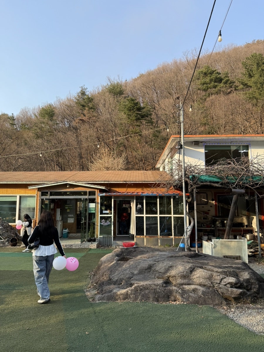 은행나무집 사진 4