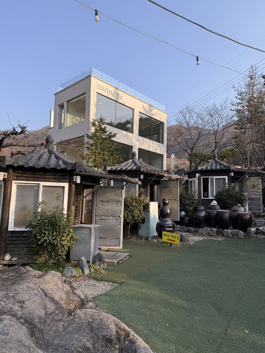은행나무집 사진 2
