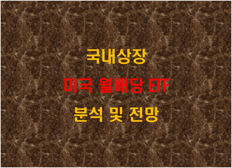  국내상장 미국 월배당 ETF 분석 및 전망