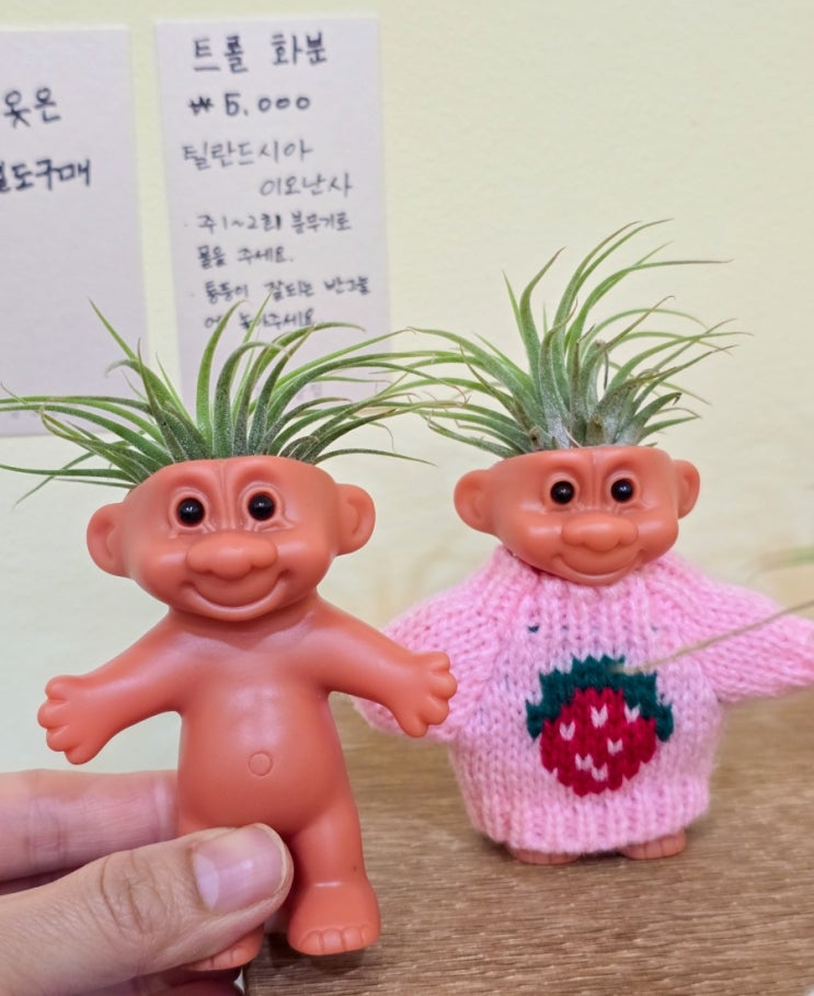  강릉 강문해변 소품샵 강문상점 오리둥지 선물상점