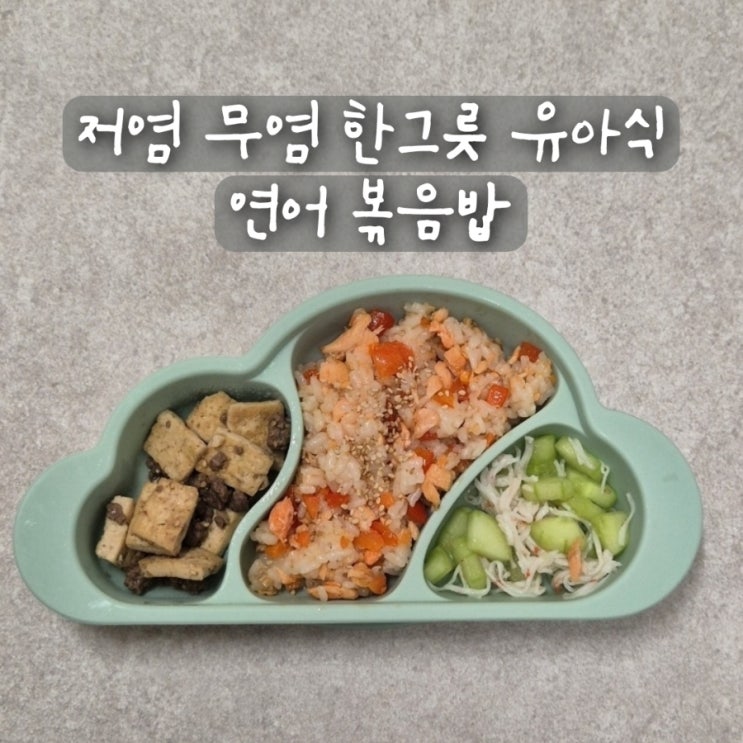  저염 무염 돌 아기 한그릇 유아식 연어 볶음밥 구이 요리