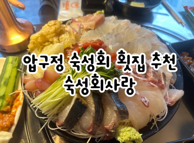  다양한 부위로 구성된 모듬회가 매력적인 압구정 횟집 숙성회사랑