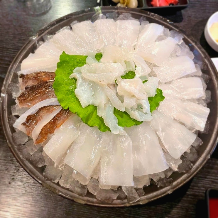 오징어회 제철 가격 갑오징어회 칼로리 맛집 후기 오징어회 제철 가격 갑오징어회 칼로리 맛집 후기