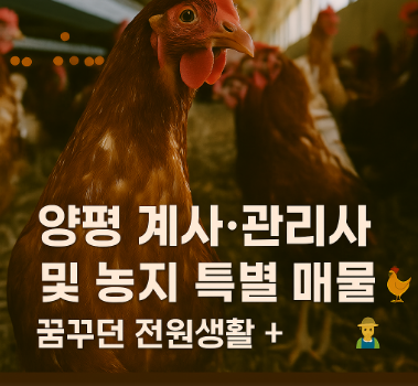  계사 운영의 꿈, 지금 바로 시작하세요!  양평 계사 관리사 및 농지 특별 매물 안내 (이천IT부동산)