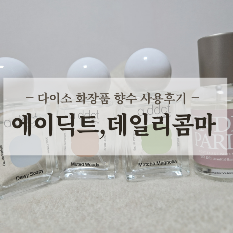  다이소 화장품 향수 사용 후기 : 에이딕트, 데일리콤마 내 돈 내산