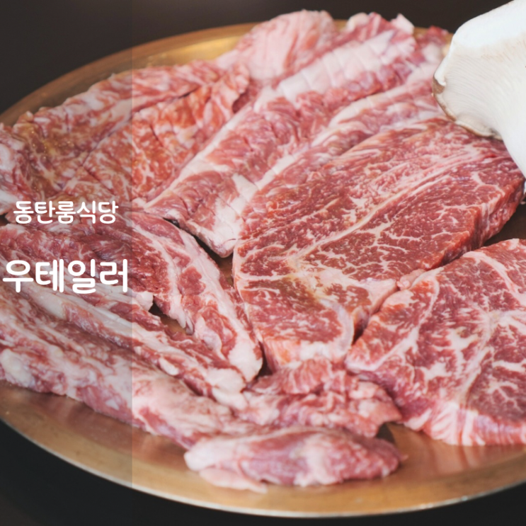  동탄 룸식당 소고기 우테일러 한우 소등심 소갈비살 구이 맛집