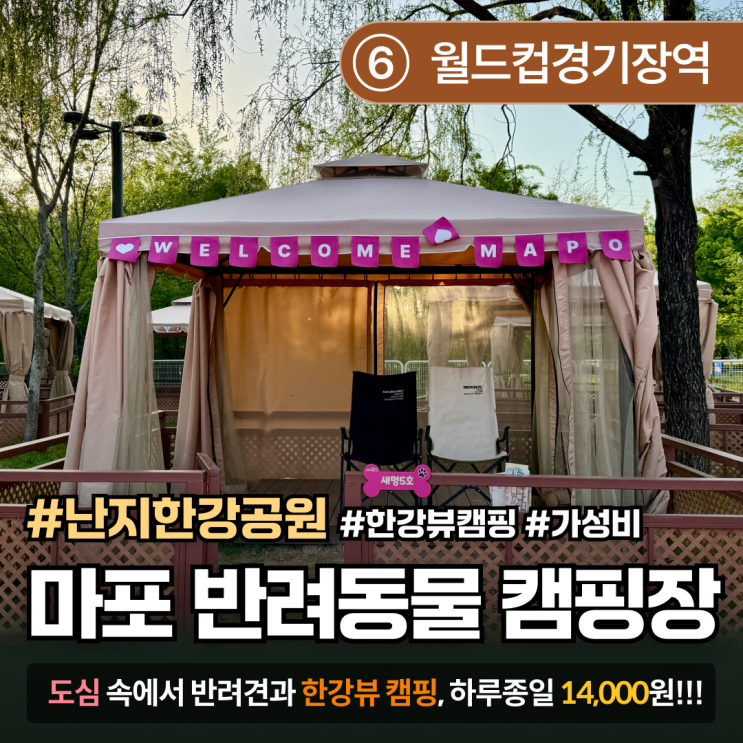  [서울 강아지 캠핑장 추천] 마포 반려동물 캠핑장, 하루종일 14,000원에 한강뷰 캠핑!