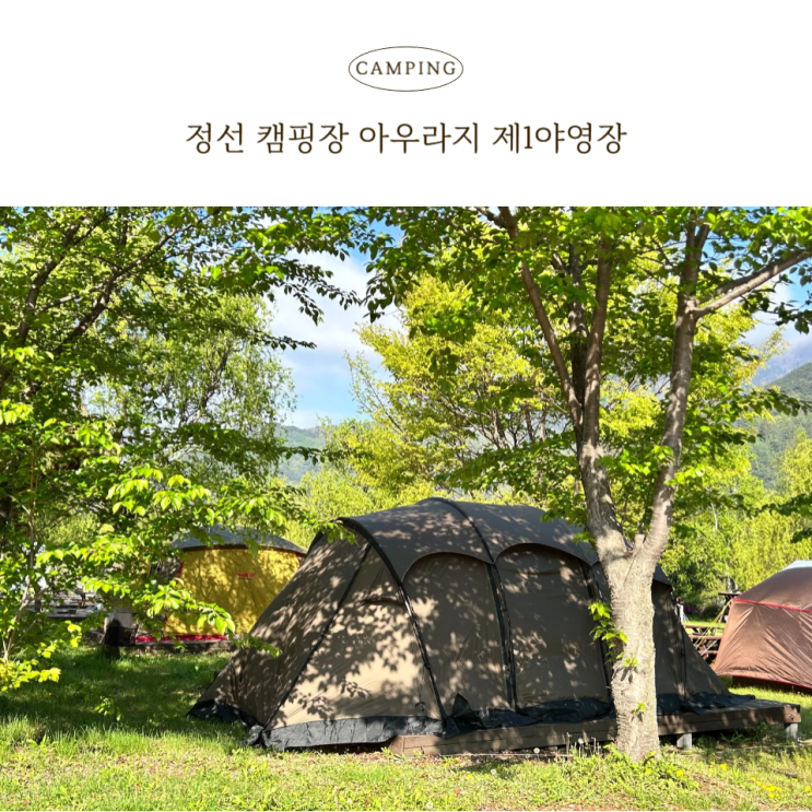  정선 캠핑장 아우라지 제1야영장 2박 3일 후기