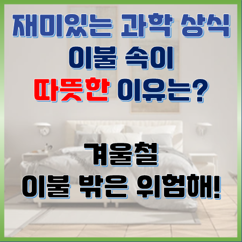 이불 속이 따뜻한 이유는? 겨울철 이불 밖은 위험해 이불 속이 따뜻한 이유는? 겨울철 이불 밖은 위험해