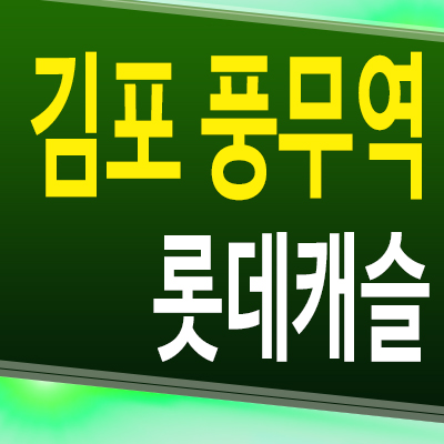  김포 풍무역 롯데캐슬 아파트 풍무동 미분양 계약조건 모델하우스 분양가