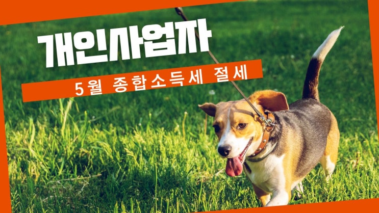  개인사업자 5월 종합소득세 절세