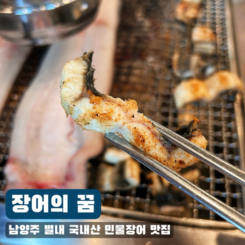 [남양주 별내 맛집 / 가성비 장어집 / 풍천 장어 맛집] 싱싱하고 가성비 좋은 국내산 민물장어....
