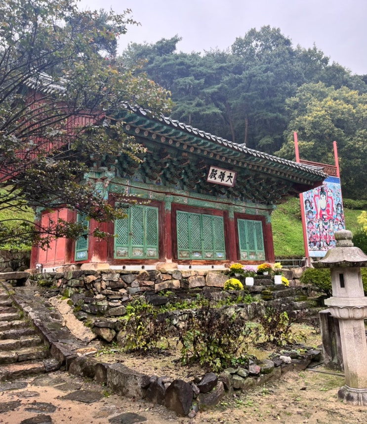  [청주] 구룡산 안심사 보물 대웅전, 국보 괘불 둘러보기