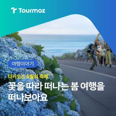  2025년 5월의 축제, 꽃을 따라 떠나는 봄 여행!