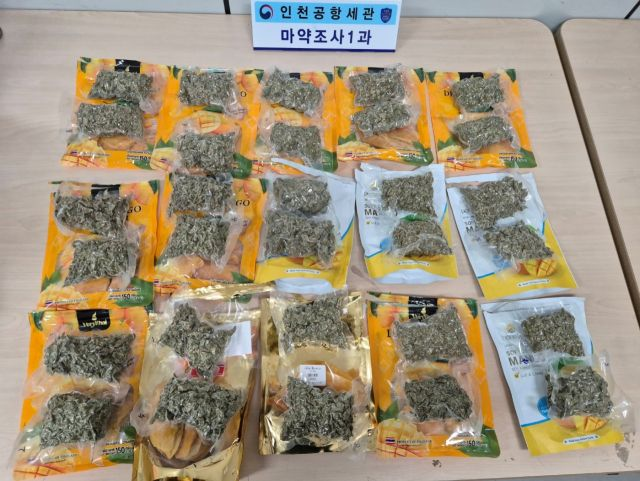  태국서 대마 3.1 밀수입한 태국인 2명 구속 송치…건망고 안에 숨겨 들여와