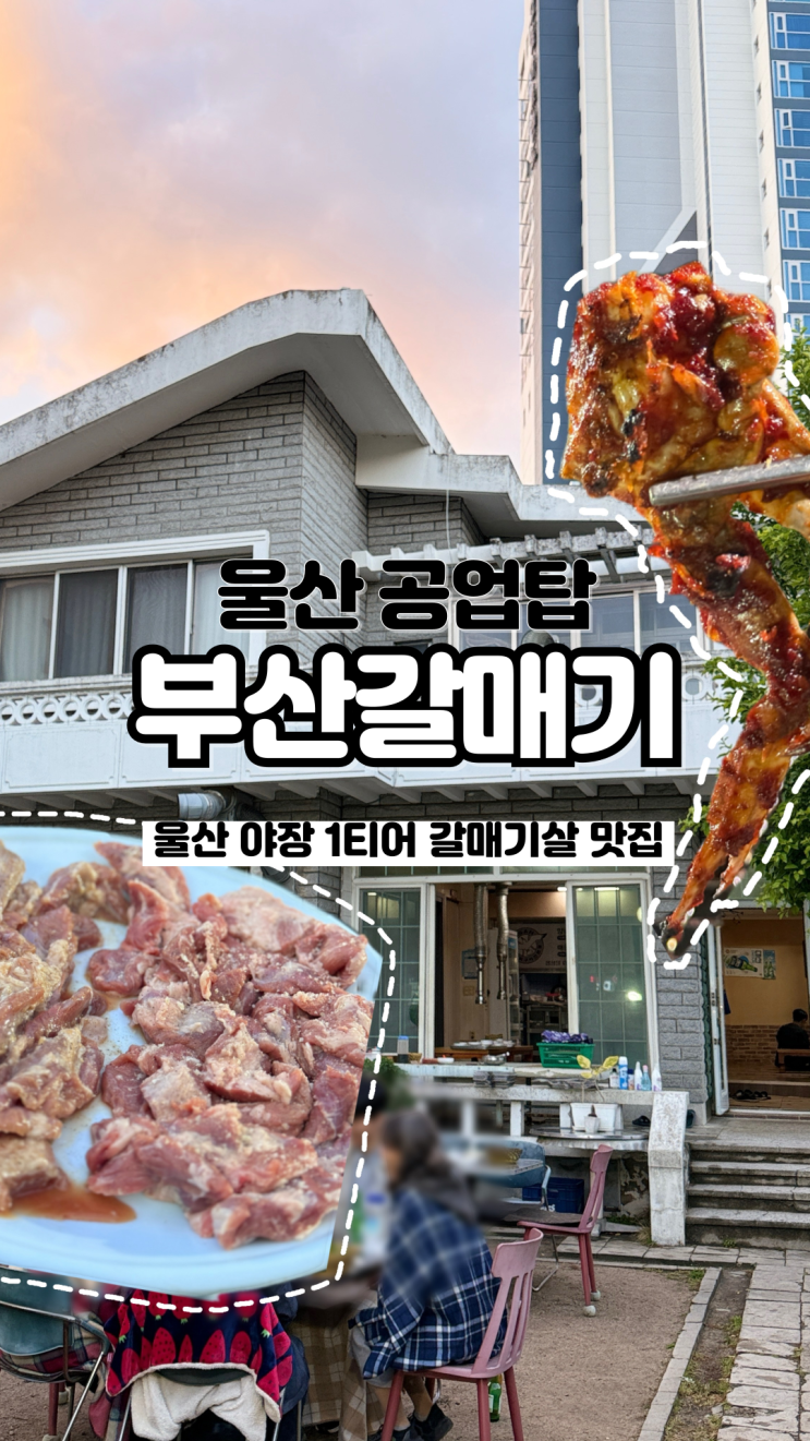  지금 날씨에 딱 야장 1티어 울산 로컬맛집 웨이팅, 예약 꿀팁 부산갈매기