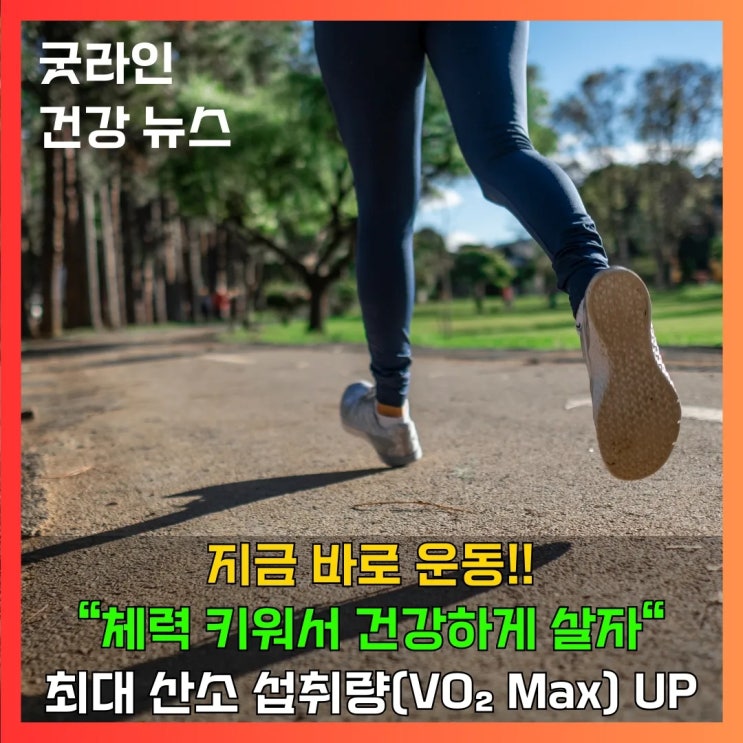 조금만 뛰어도 숨이 찬 사람 주목! 50대 이후에도 체력은 회복됩니다! 최대 산소 섭취량(VO₂ Max)으로 건강한 삶을 시작해보세요 조금만 뛰어도 숨이 찬 사람 주목! 50대 이후에도 체력은 회복됩니다! 최대 산소 섭취량(VO₂ Max)으로 건강한 삶을 시작해보세요