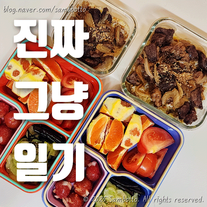  진짜 그냥 일기 | 출근 오랜만! 도시락으로 시작해서 도시락으로 끝난 하루