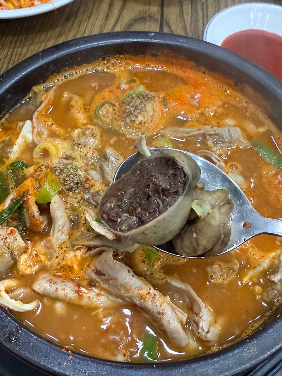 케이빈 사진 5