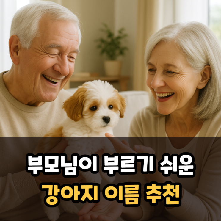  부모님이 부르기 쉬운 강아지 이름 추천