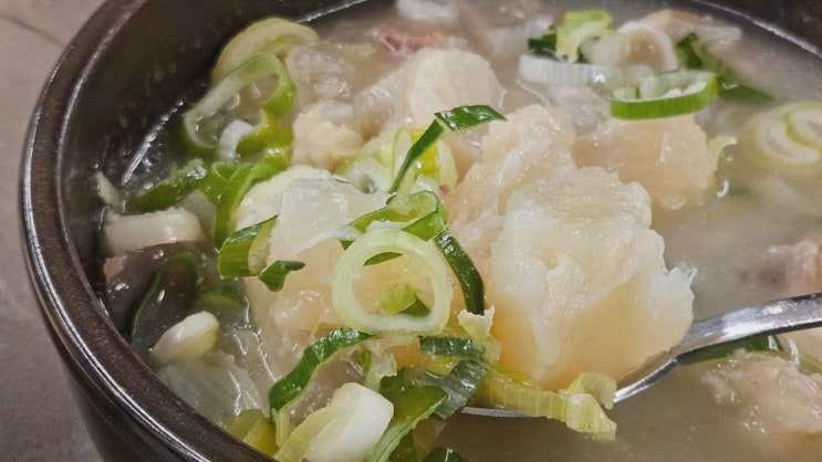  [맛집리뷰] 서초도가니탕 서초본점, 진한 육수의 도가니수육맛집