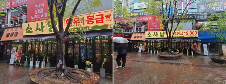  가성비 뛰어난 일산 한우와 푸짐한 메뉴, 소사냥 본점