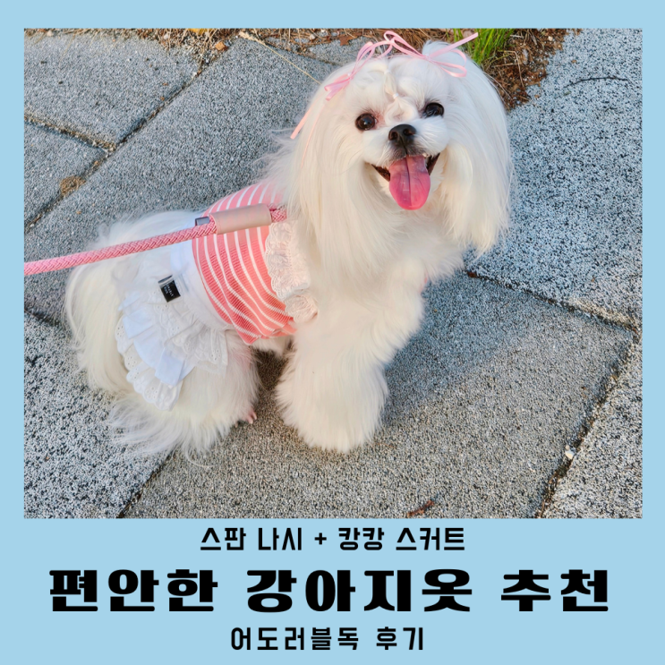  어도러블독 편안한 강아지옷 여름 외출복 말티즈 후기
