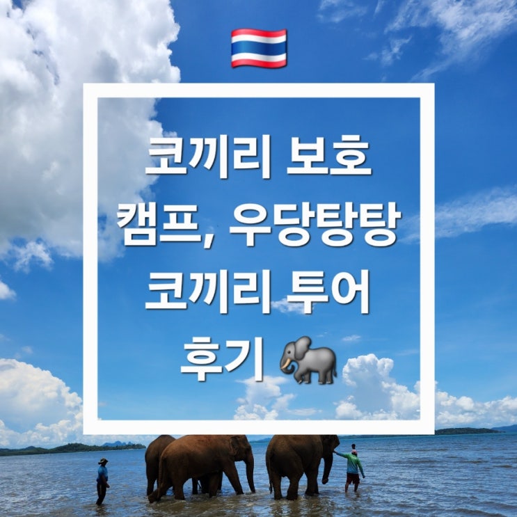 보호 <b>캠프</b>, 우당탕탕 코끼리 <b>투어</b> 후기  (<b>인터파크투어</b> 예약)