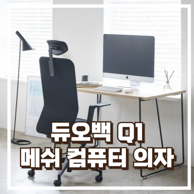  듀오백 Q1 메쉬 인체공학 사무용 컴퓨터 의자 시원한 착석감 리뷰, 혜택가
