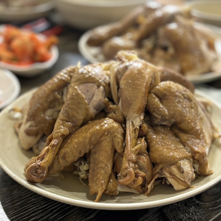  성남 맛집 / 몸이 먼저 반응하는 진짜 보양식 옻닭맛집 [ 시골산장 ]