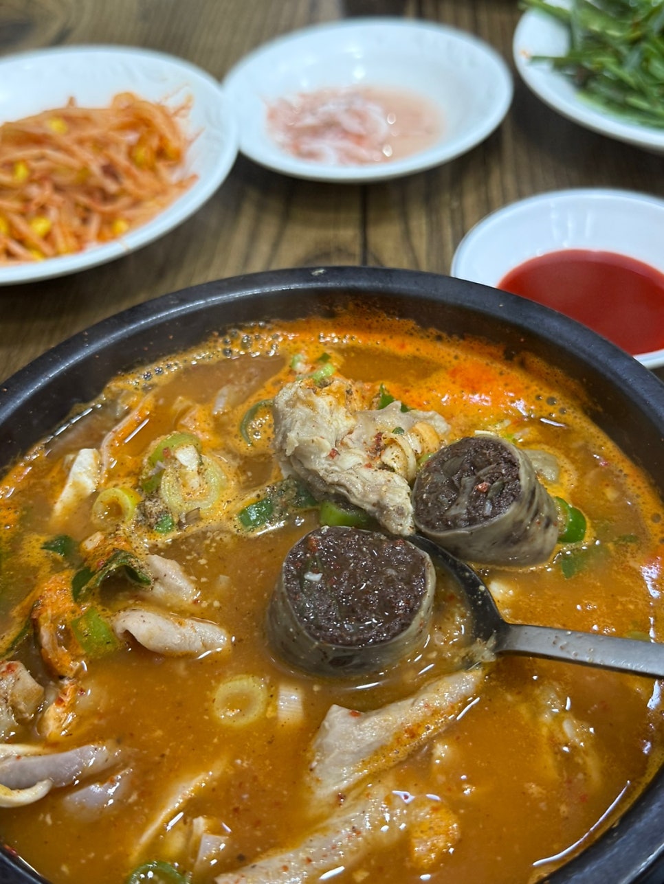케이빈 사진 6