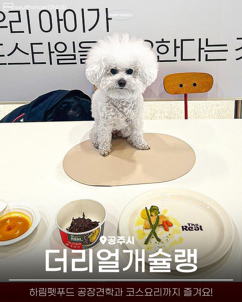 사진 2