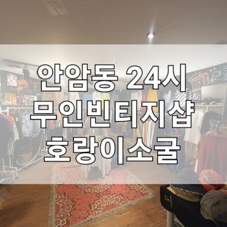  고려대 안암동 24시 무인빈티지샵 호랑이소굴