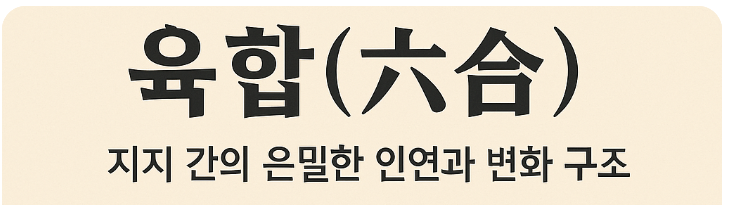  육합(六合) – 지지 간의 은밀한 인연과 변화 구조