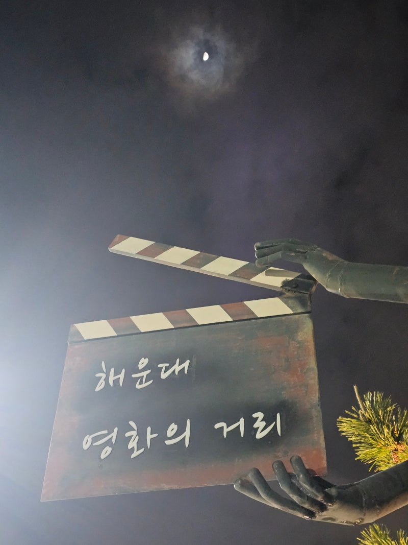 영화 '대도시의 사랑법'/김고은 /노상현