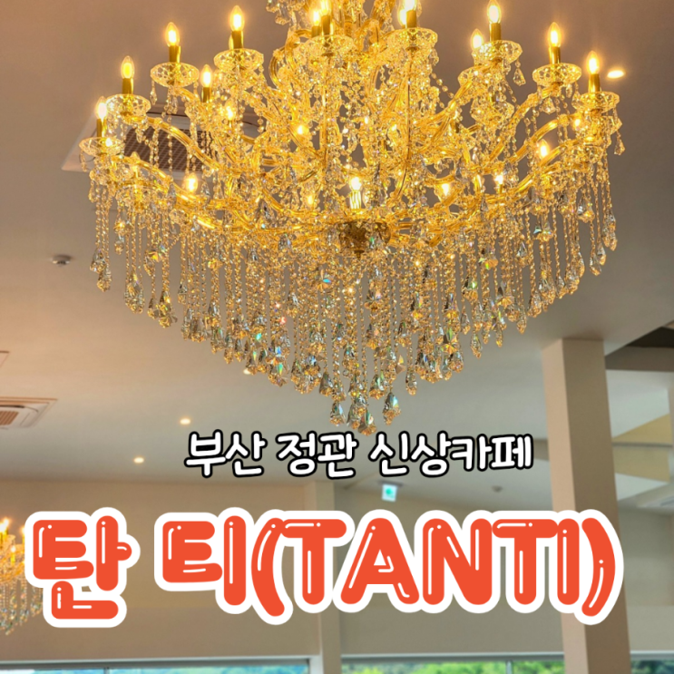  부산 정관 신상 카페 핫플되기전 다녀온 베이커리 맛집 탄티