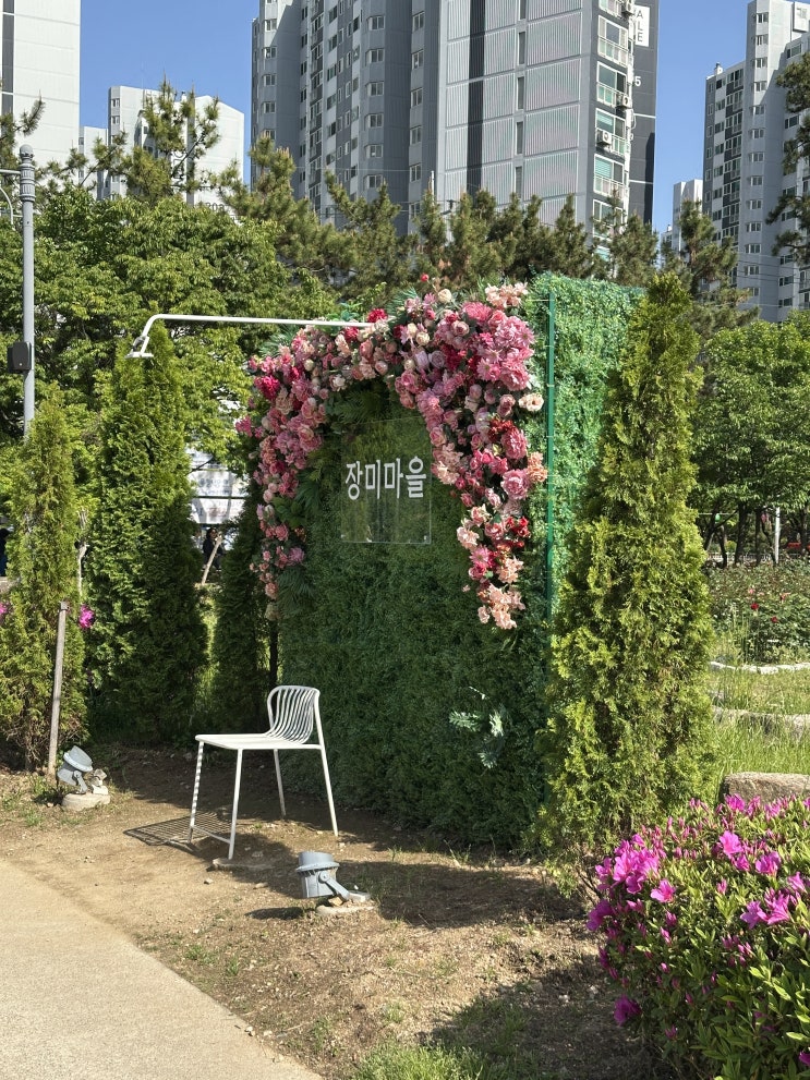 부산 장미 공원 추천, 화명장미공원 장미원 부산에 가볼만한곳