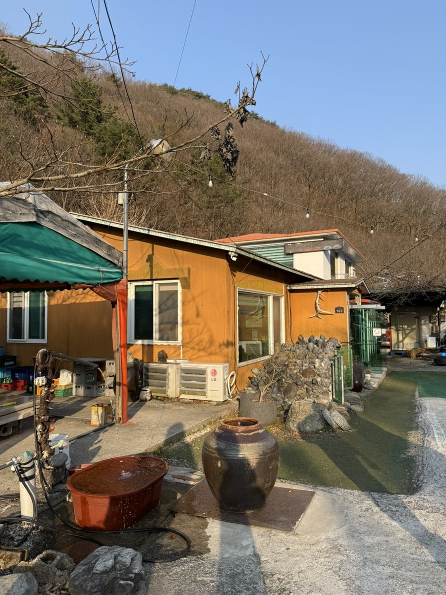 은행나무집 사진 5