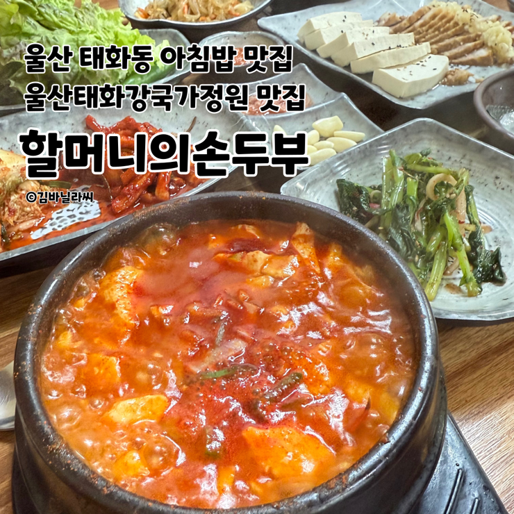  울산 태화동 맛집 할머니의손두부 아침밥 두부마늘보쌈정식 밥집