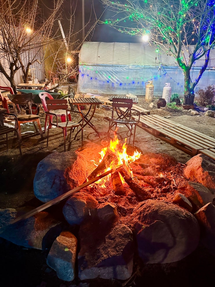  내돈내산 맛집 추천 양주 제부도 조개구이 (전체 가격, 메뉴, 주차정보)