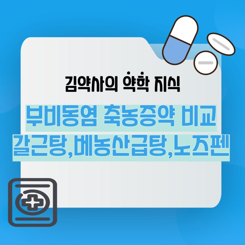 약국 부비동염 축농증약 갈근탕, 배농산급탕, 노즈펜 효능 비교