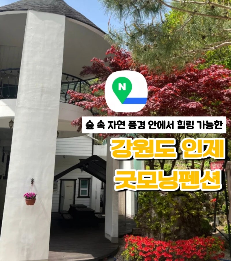 사진 7
