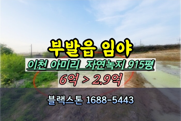  이천 부발읍 임야 경매 1천평 [2024타경33806]