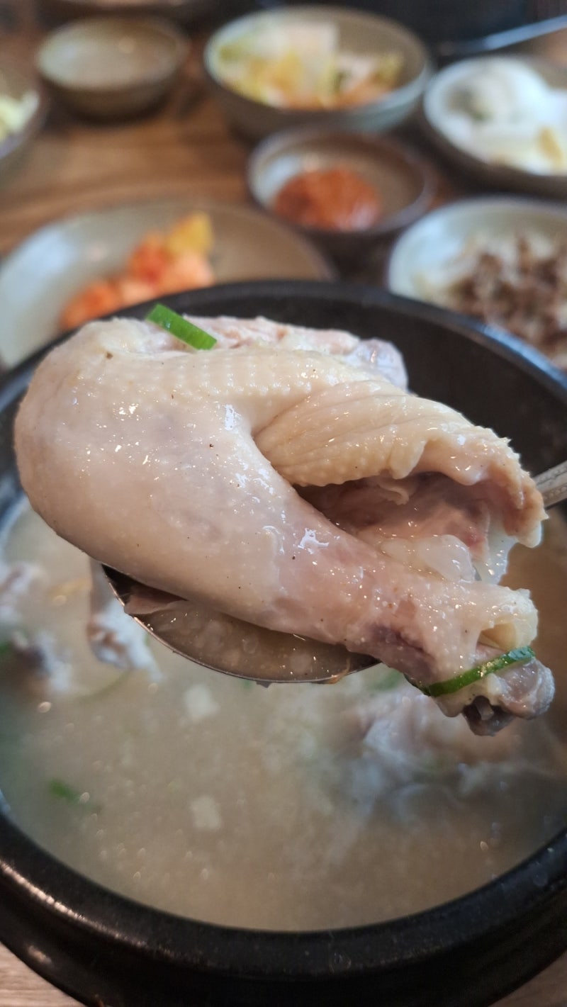 창원 상남동 경남도청 국화주(무료) 주는 국화삼계탕