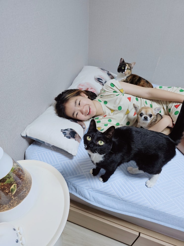  냉감패드 고르는법 쿠에뜨 듀라론 냉감패드로 선택한이유