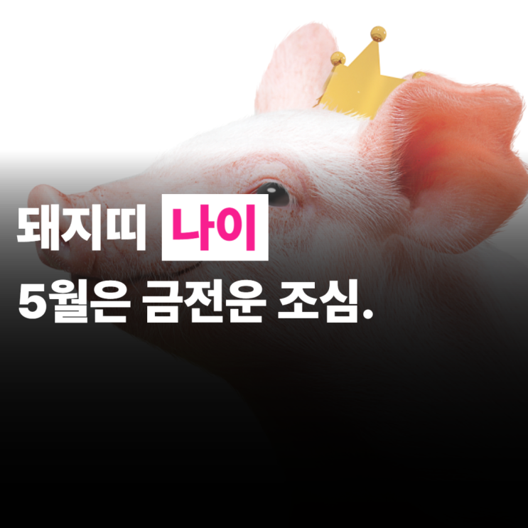  돼지띠나이, 2025년, 5월운세, 금전운 조심