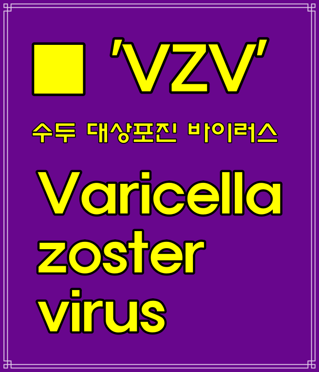  대상포진 수두 차이, 자가치료법 합병증, 대상포진/수두 뜻, 영어로 Chickenpox/Shingles VZV