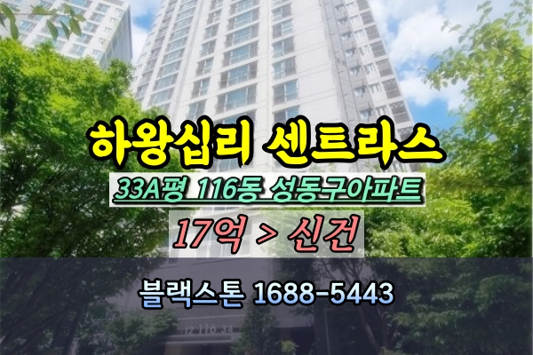  하왕십리동 센트라스 경매 33A평 [2023타경56535]
