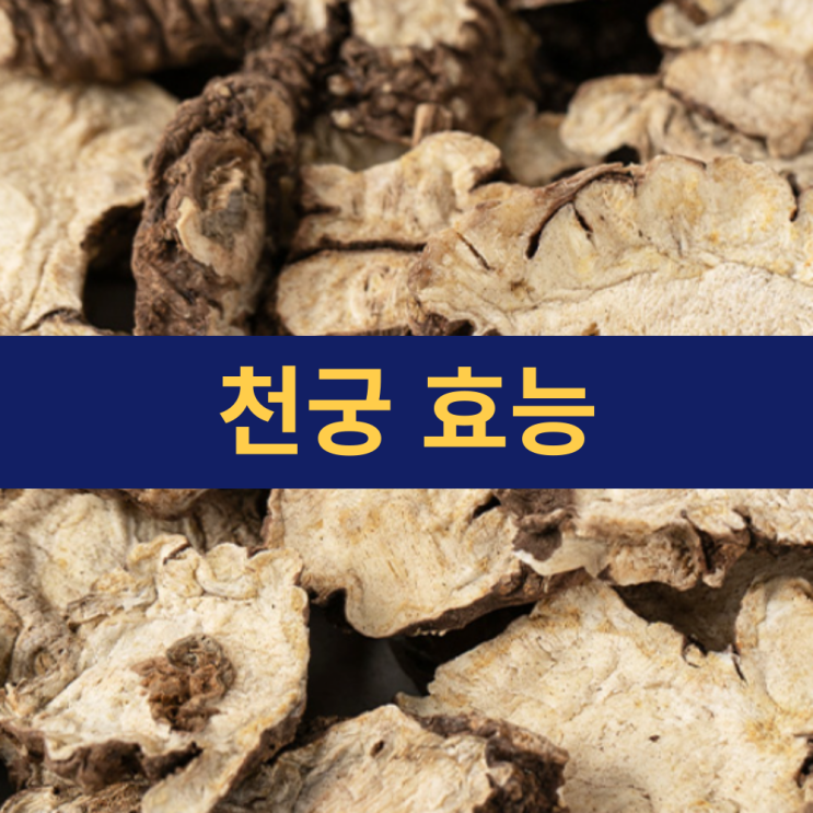  천궁 효능 한방 약초 천궁효능 | 향긋한 뿌리에 담긴 생명력